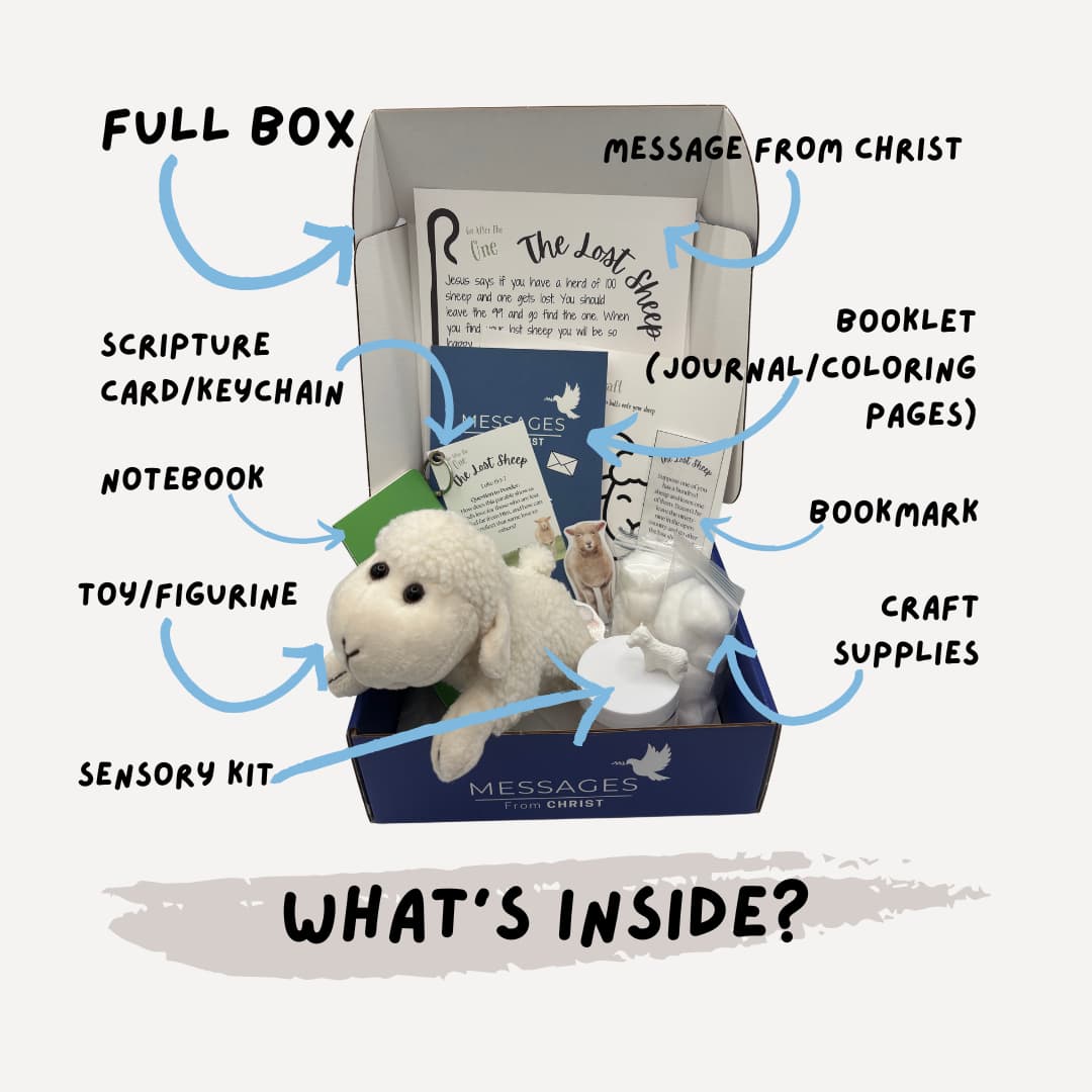 Full Lost Sheep (Past Box)