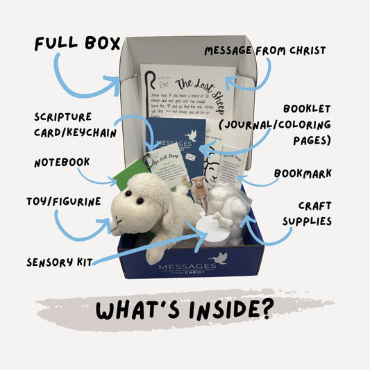Full - Lost Sheep (Past Box)