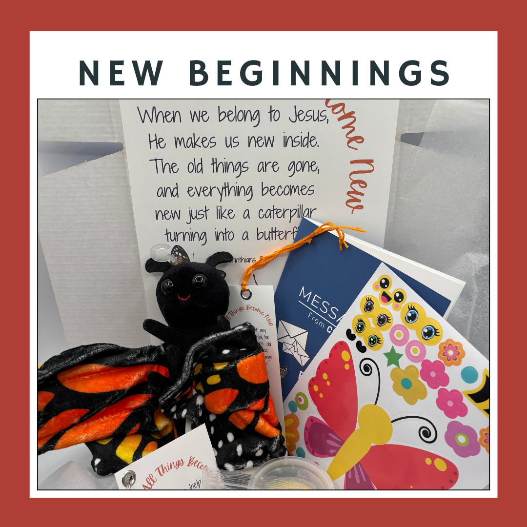 A Fresh Start for the New Year — Pre-Order Your January Box Today!