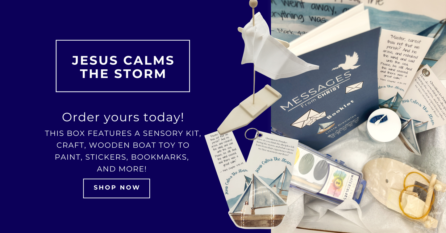 Jesus Calms the Storm - Subscription Box