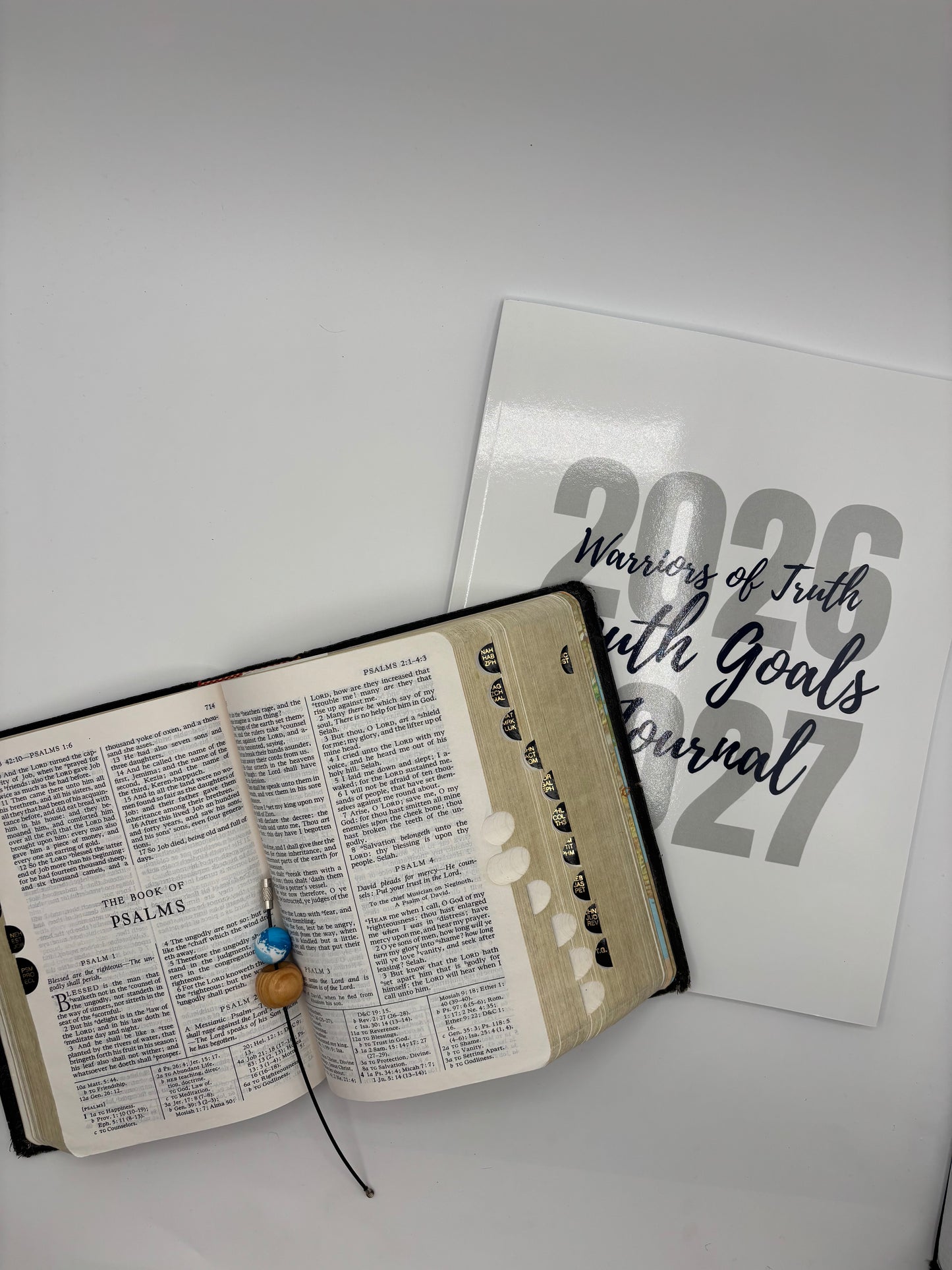 Noah & The Ark | Warriors of Truth Bible Study Packet