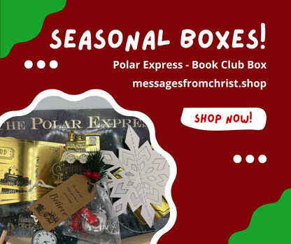 Christmas Polar Express Book Club Box