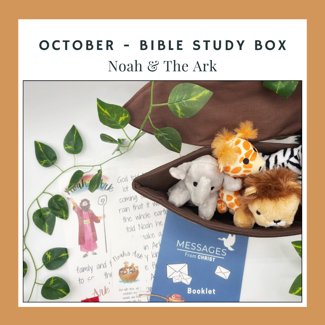 Noah's Ark - Subscription Box