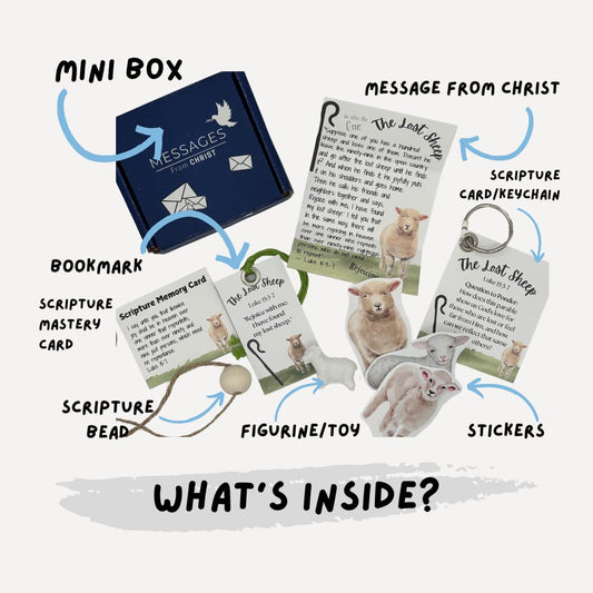Mini Lost Sheep (Past Box)